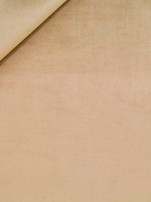 TOUCHE | TWIG - Multi-purpose