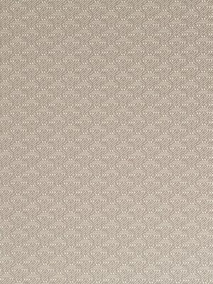 FRACTION PICK | ABALONE - Upholstery - Fabric