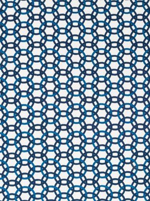 MOMENTUM | INDIGO - Multi-purpose