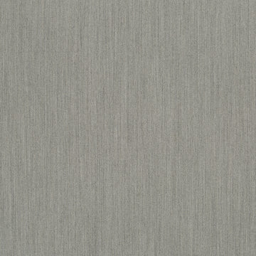POPLAR | DARK GRAY