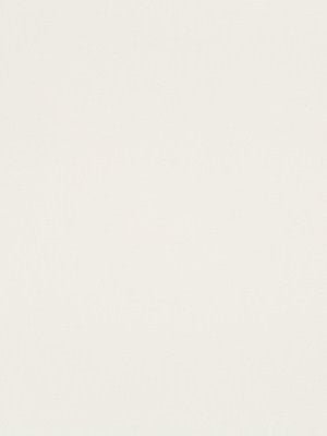 CASHMERE SOLID | PLATINUM - Multi-purpose