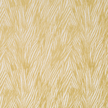 Kashgar Rr Bk | Amber