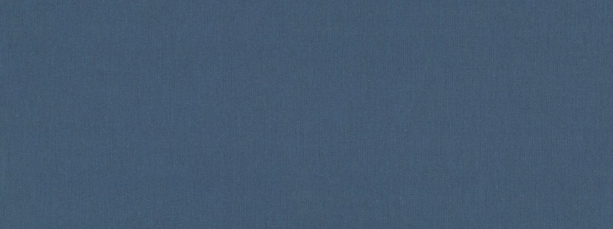 LINEN ENDURE | MUSSEL SHELL - Upholstery - Fabric