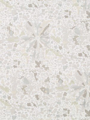 Supernova | Silver And Gold - Multi-purpose