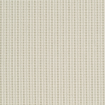DIGITAL STRIPE | MOSS