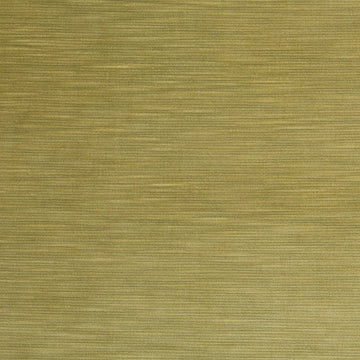 Percussion | Aloe - Multi-purpose