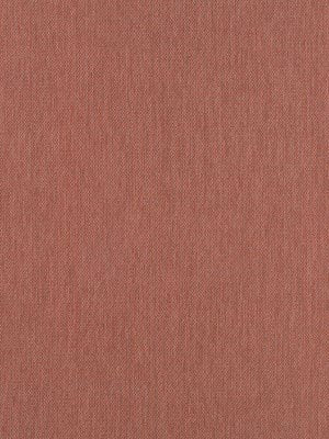 Maxon Bk | Coral - Upholstery - Fabric