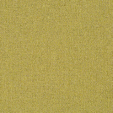 Refined Boucle | Chartreuse