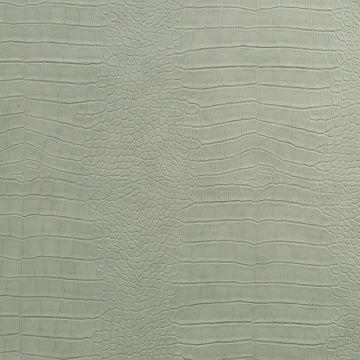 KING CROC | CELADON