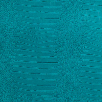 KING CROC | TURQUOISE