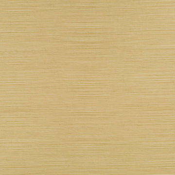 JILLIAN STRIE | BRASS - Multi-purpose