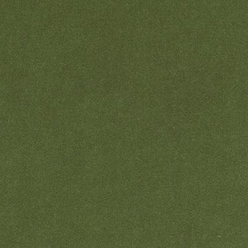 15725 | 2-GREEN - Upholstery - Fabric