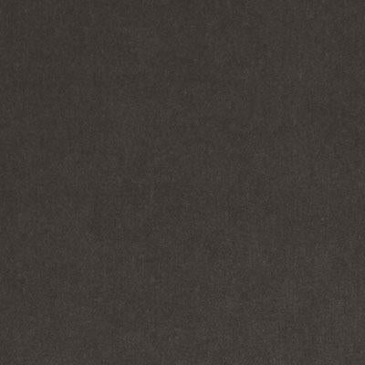 15725 | 216-PUTTY - Upholstery - Fabric