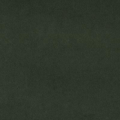 15619 | 323-EVERGREEN - Upholstery - Fabric