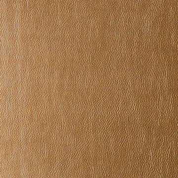 DF16135 | 63-BRASS - Upholstery - Fabric