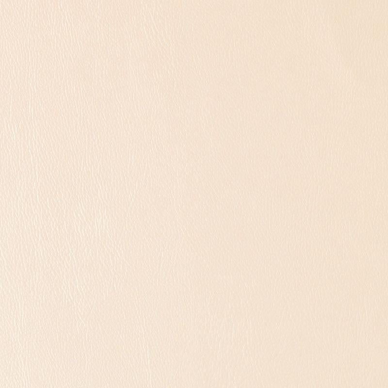 DF16135 | 88-CHAMPAGNE - Upholstery - Fabric