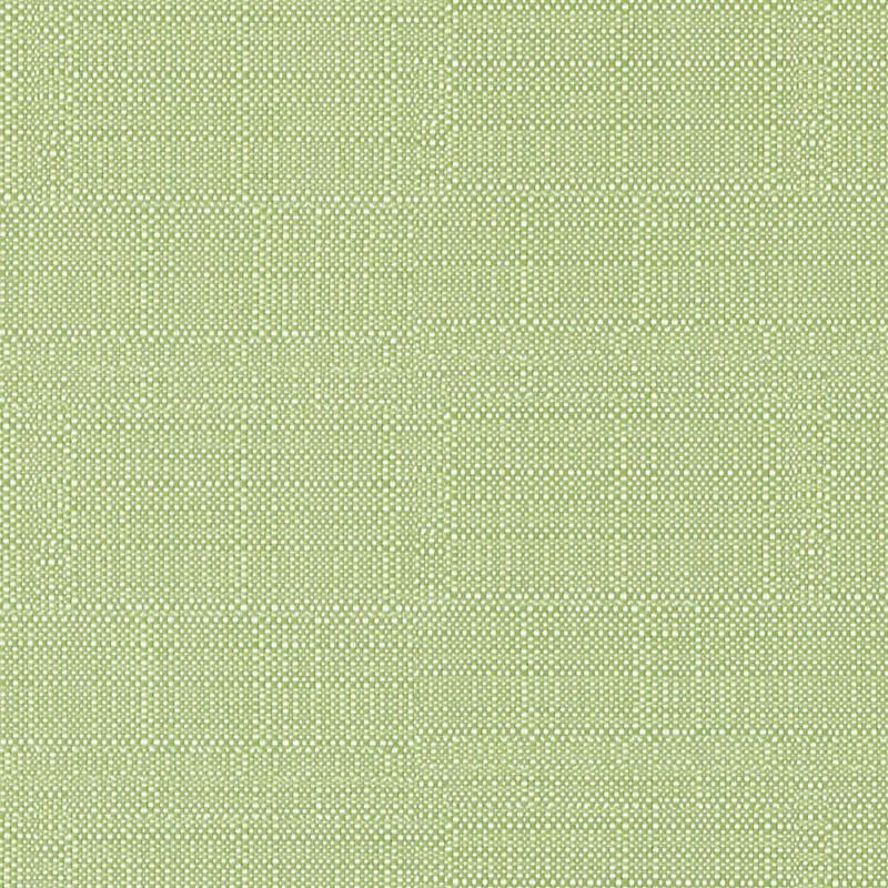 DW16052 | 399-PISTACHIO - Upholstery - Fabric