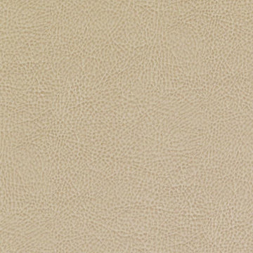 DF15771 | 13-TAN - Upholstery - Fabric