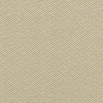 15737 | 13-TAN - Upholstery - Fabric