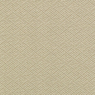 15737 | 13-TAN - Upholstery - Fabric