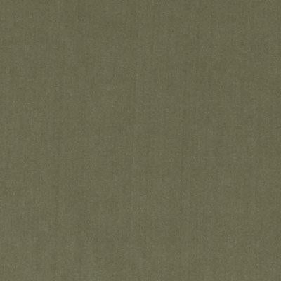 DV15862 | 354-BASIL - Upholstery - Fabric