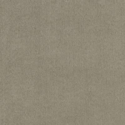 DF16038 | 319-CHINCHILLA - Upholstery - Fabric