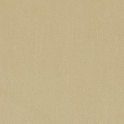 DV15862 | 564-BAMBOO - Upholstery - Fabric