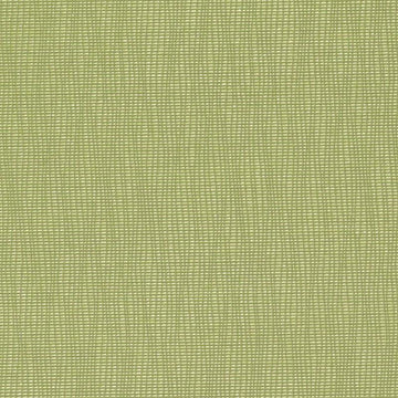 DN15991 | 609-WASABI