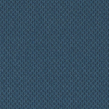 DN15993 | 207-COBALT