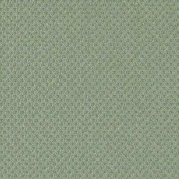 DN15993 | 609-WASABI
