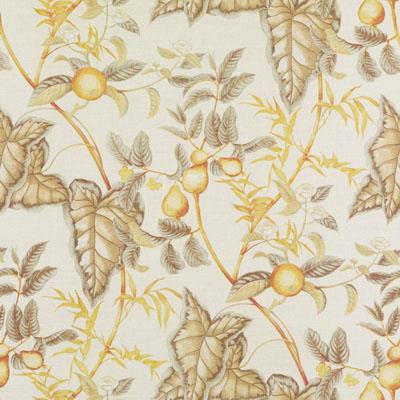200013H | 60-NATURAL/GOLD - Print - Fabric