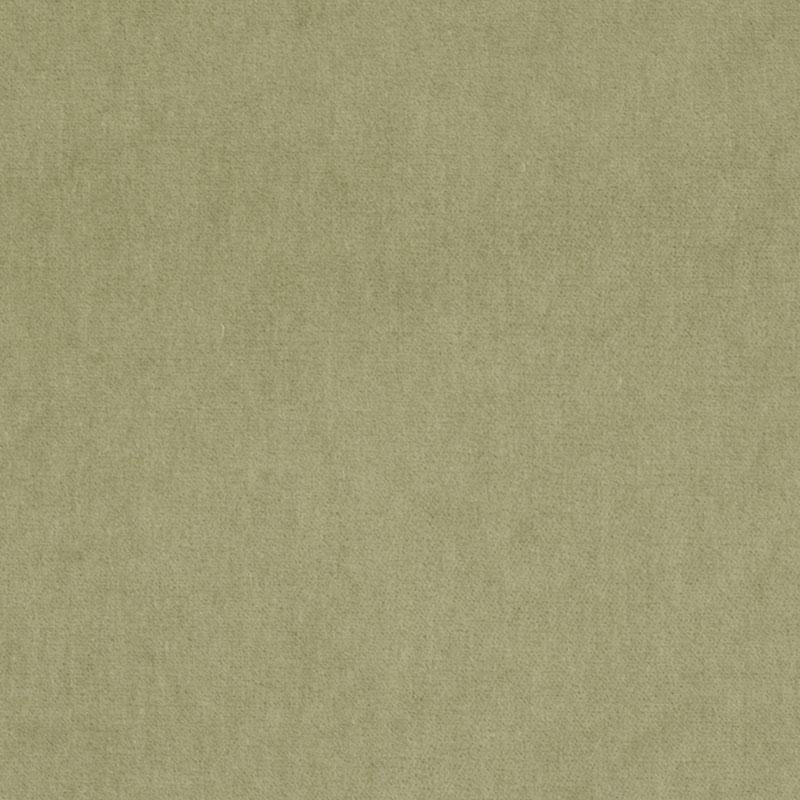 36208 | 343-CACTUS - Upholstery - Fabric