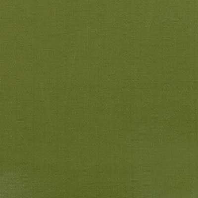 32644 | 212-Apple Green - Upholstery - Fabric