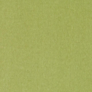 HV16156 | 243-HONEY DEW
