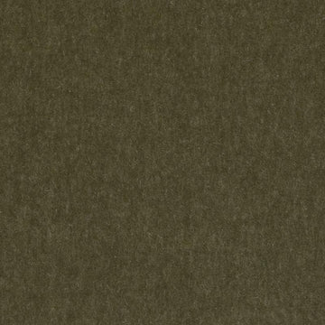 Hv16156 | 354-Basil