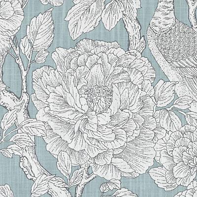 De42577 | 19-Aqua - Print - Fabric
