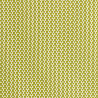 F0670 | 2-CITRUS - Print - Fabric