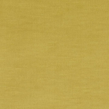 190235H | 258-MUSTARD