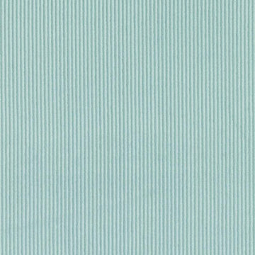 DW16161 | 19-AQUA - Upholstery - Fabric