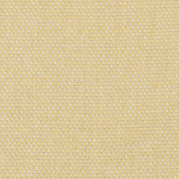 DW61172 | 205-JONQUIL - Upholstery - Fabric
