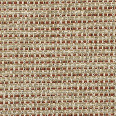 DW61173 | 219-CINNAMON - Upholstery - Fabric