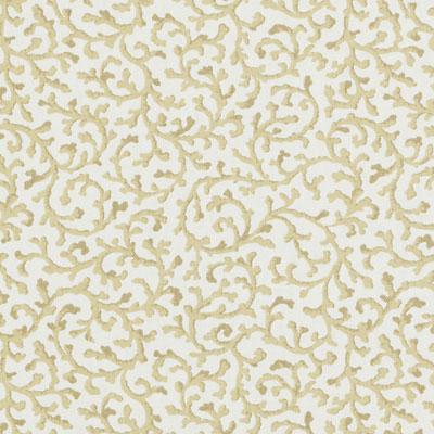 DP61185 | 281-SAND - Print - Fabric