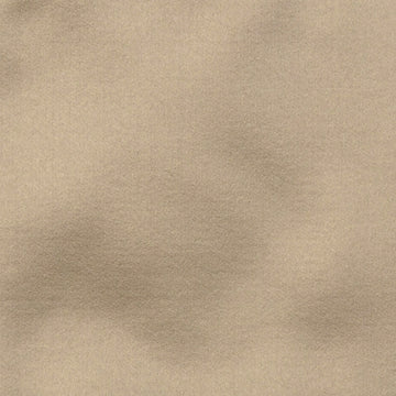 800256H | 86-OYSTER