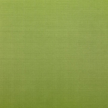 DK61566 | 21-AVOCADO - Upholstery - Fabric