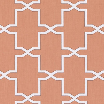 DP61570 | 123-SALMON - Print - Fabric