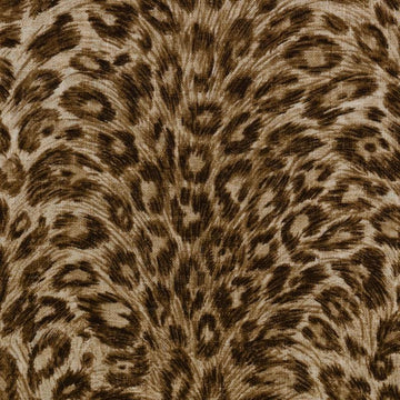 DP61591 | 10-BROWN