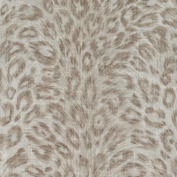 DP61591 | 160-MUSHROOM