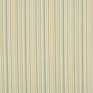 TAILORED EDGE | CITRON - Upholstery - Fabric