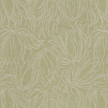 Tulip Etch | Lettuce