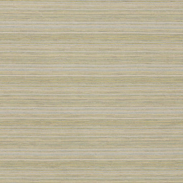 TOUCH OF GLITZ | LETTUCE